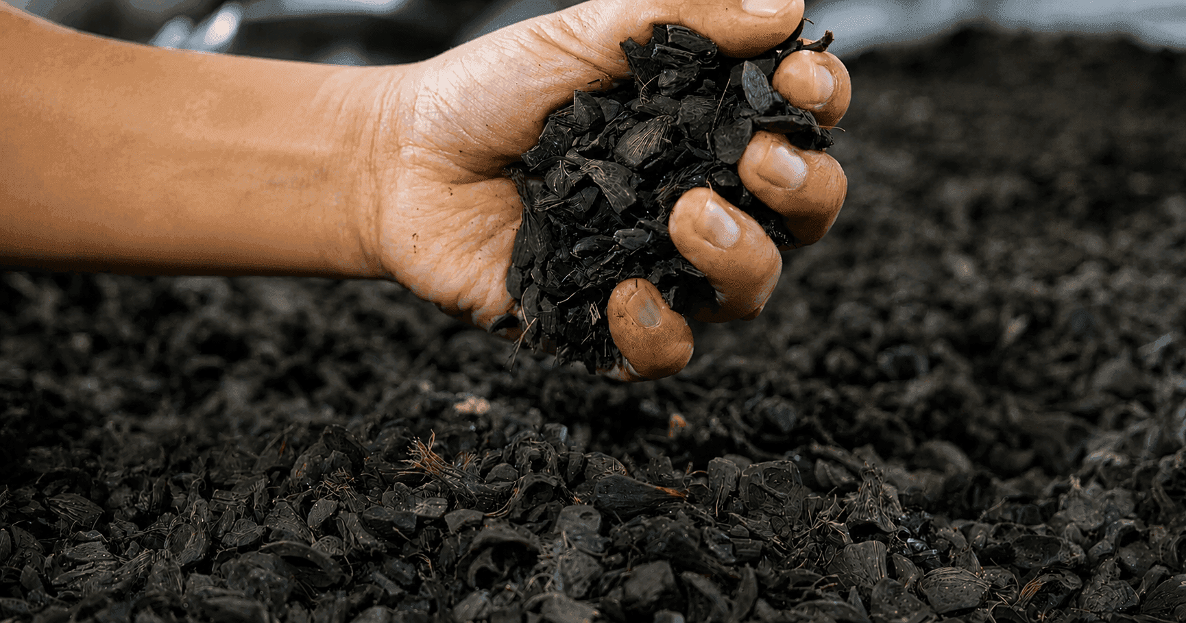 Biomass Energy