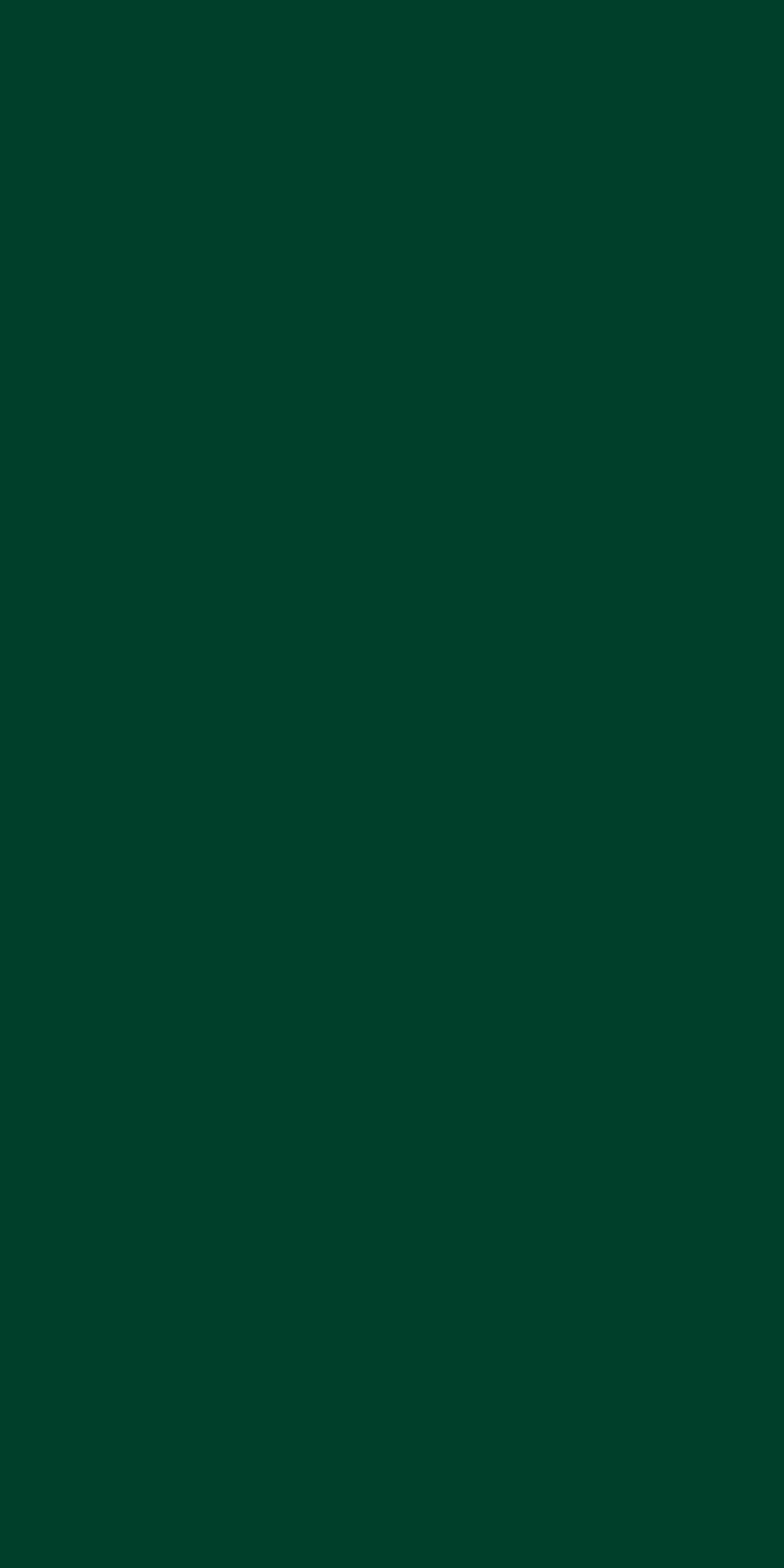 TH 025 AA - Dark Green (1).jpg