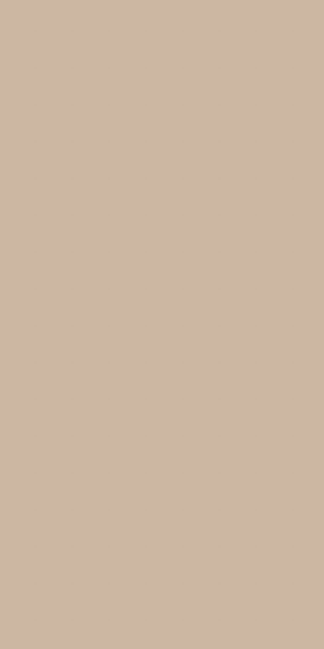 TH 036 AA - Light Beige.jpg