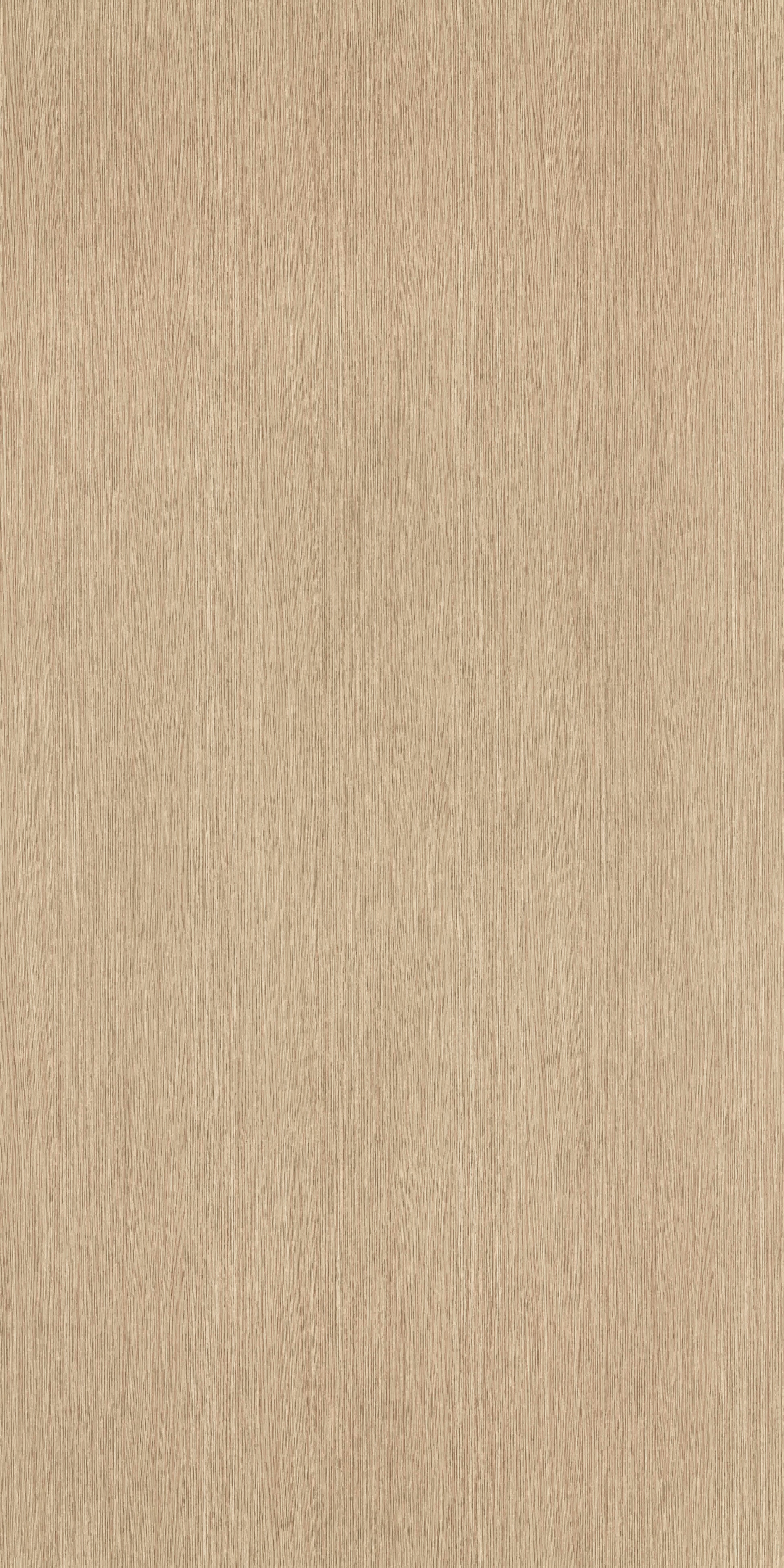 Auckland Oak