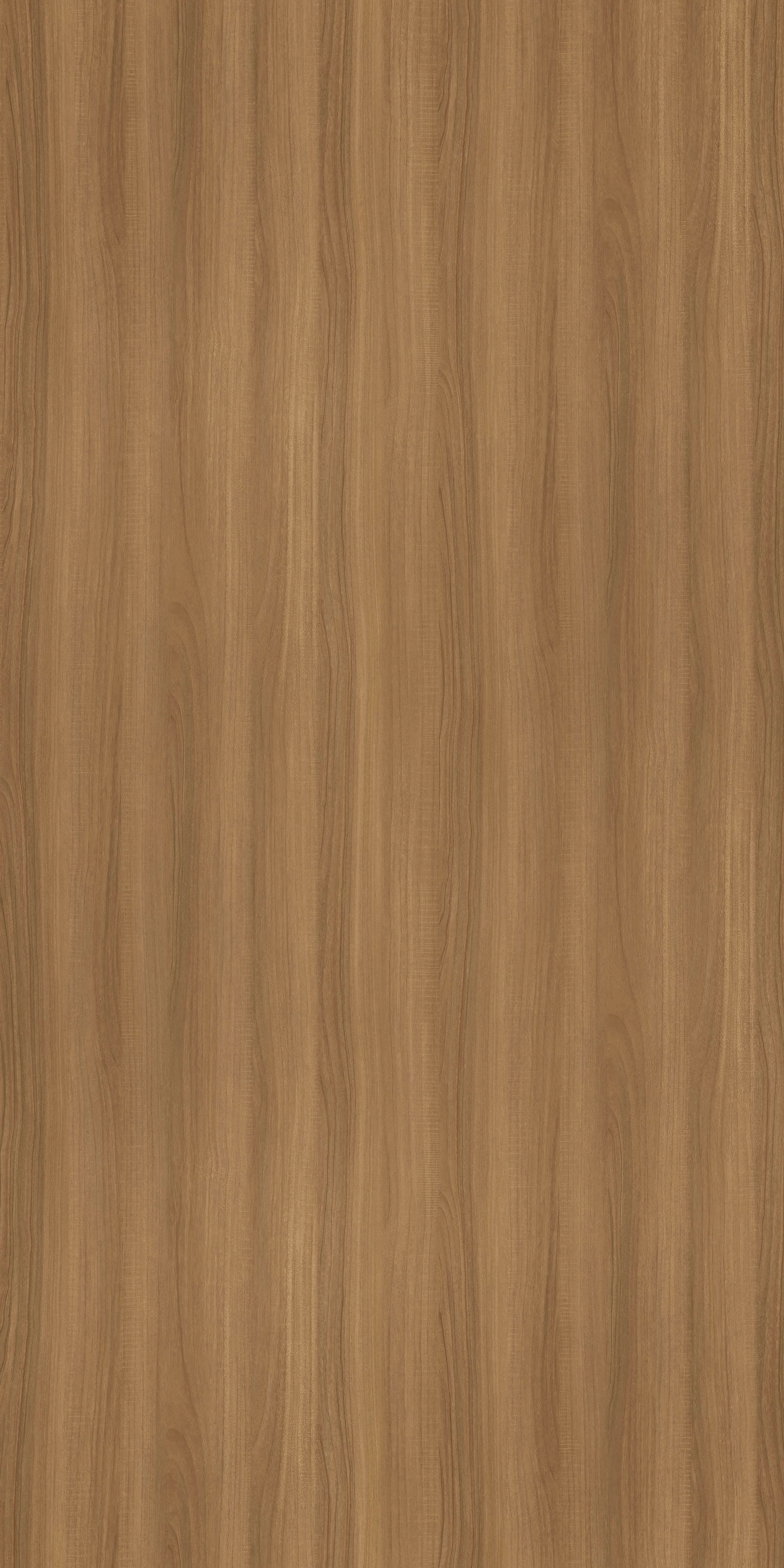 Barcelona Sawcut
