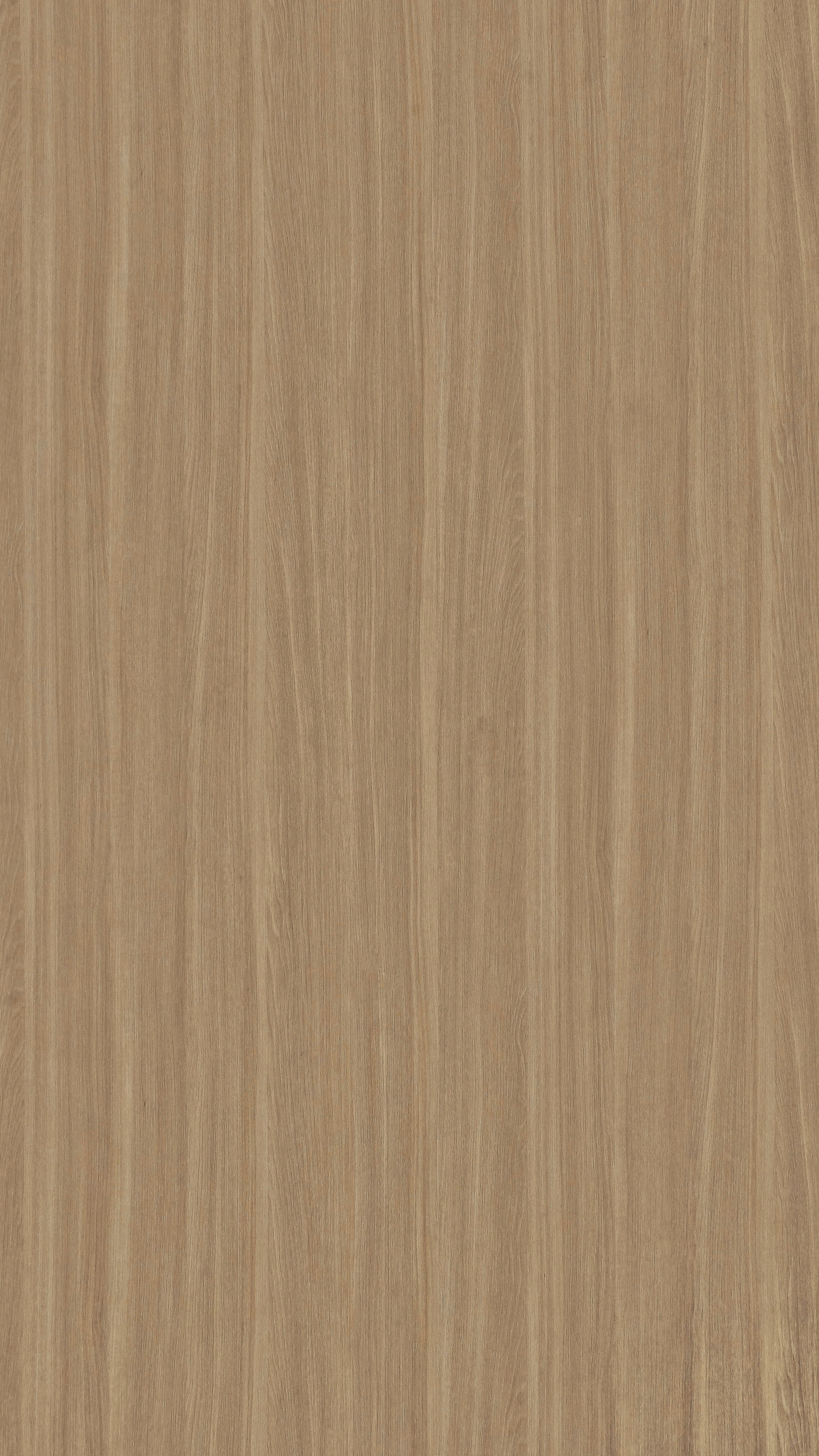 TH 5017 NT