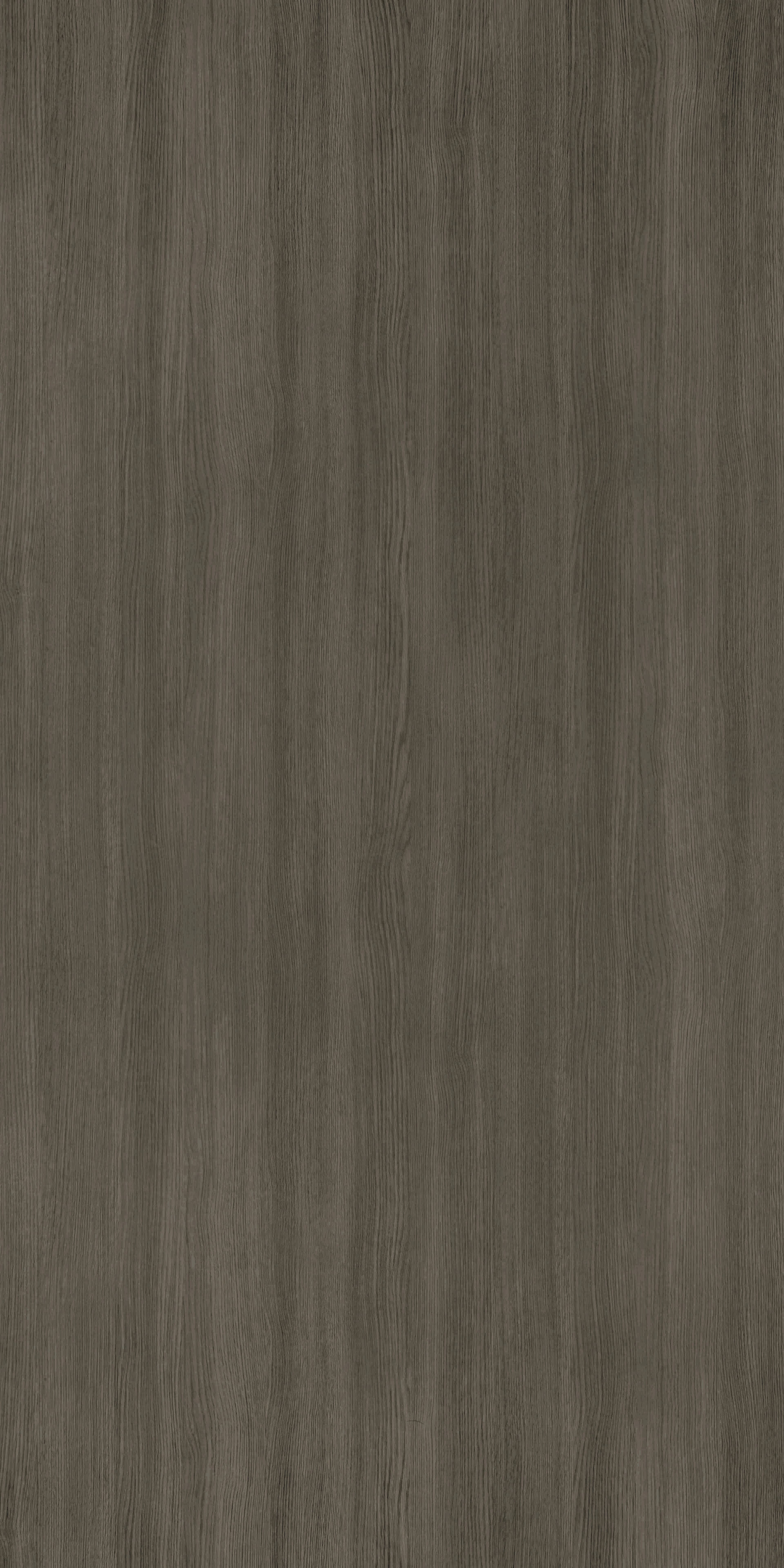 Summer Land Oak